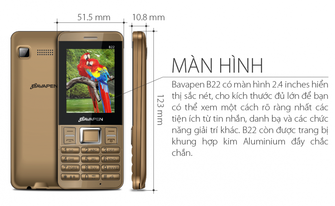 Bavapen B22 Grey (Ảnh 2)