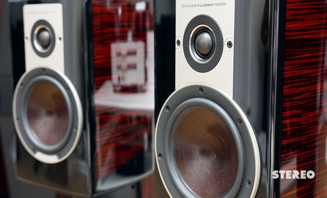 Loa woofer của loa EPICON 2 Loa woofer của loa EPICON 2