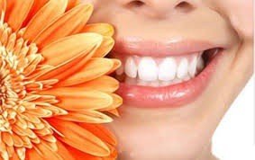 3 vỉ bàn chải kẽ răng Shining Teeth - Nhật Bản (Ảnh 1)