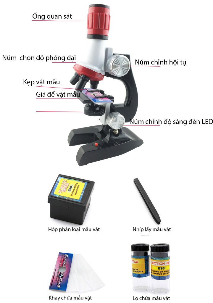 Kính hiển vi (Microscope) (Ảnh 5)