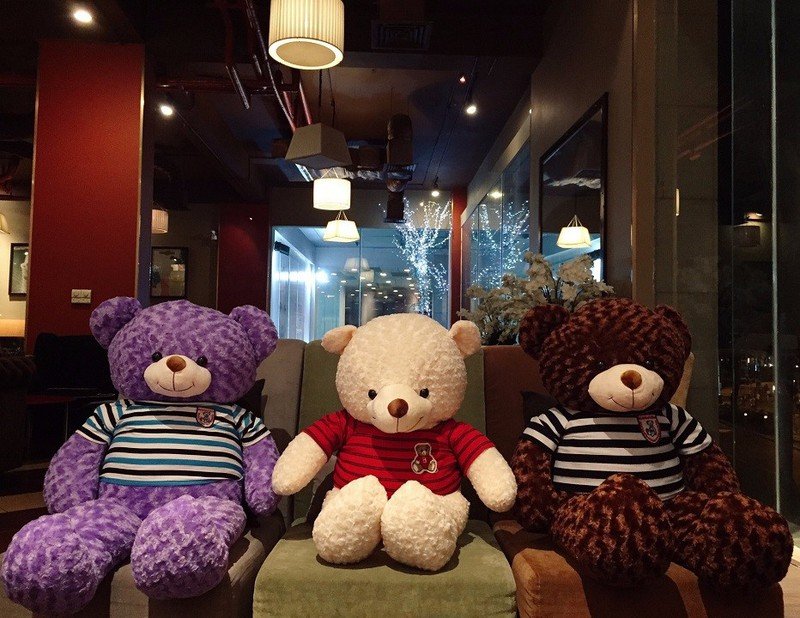 Gấu teddy socola 1m2 (Ảnh 6)