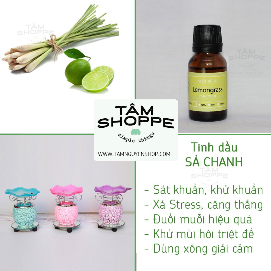 Tinh dầu sả chanh tinh chất Scentastic (Ảnh 1)