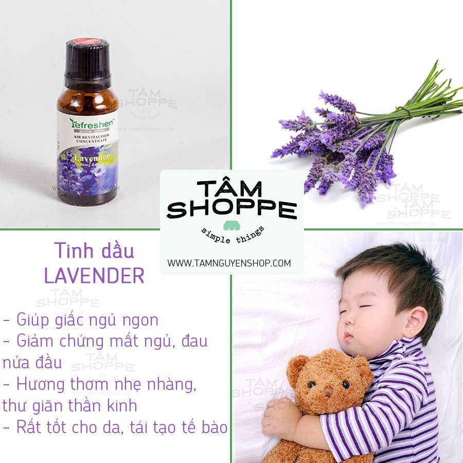 Tinh dầu oải hương Lavender Refreshen (Ảnh 1)