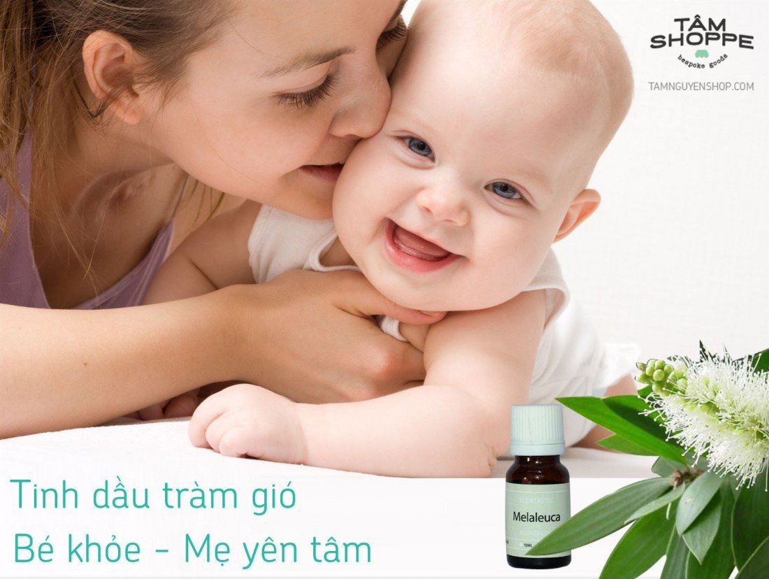 Tinh dầu tràm gió (Melaleuca) 15ml (Ảnh 1)