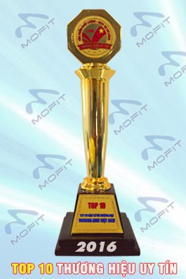 cup vang mofit 2016