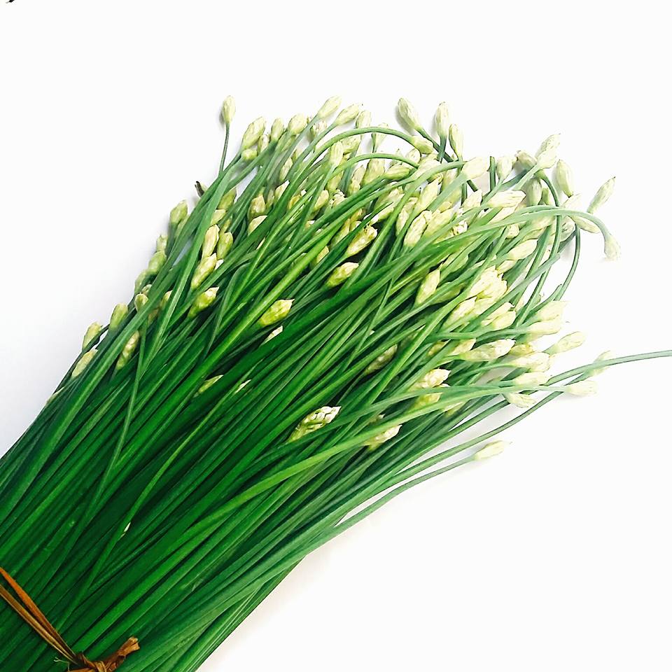 bông hẹ