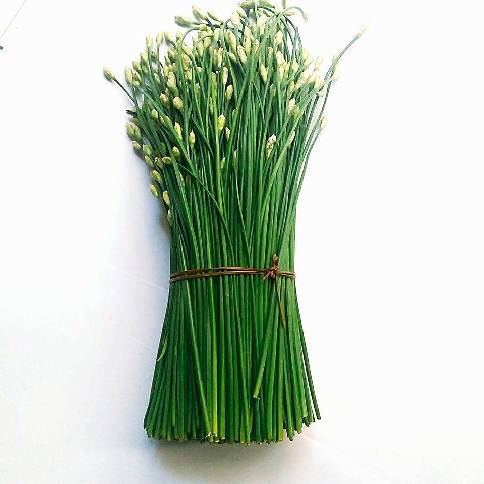 bông hẹ