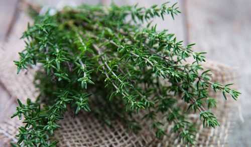 la-thyme