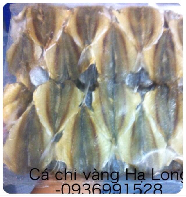 cá chỉ vàng 0936991528