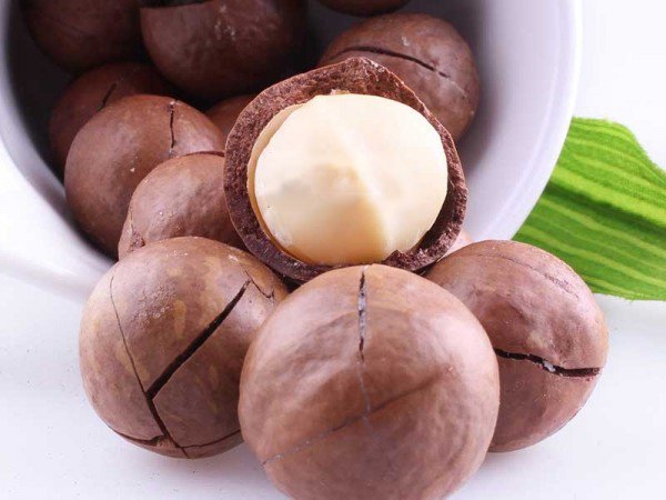 Hạt macca giúp kiểm soát tốt lượng đường trong máu