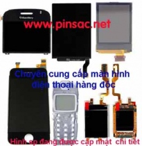 Màn hình Nokia 3500C