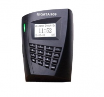 GIGATA 909