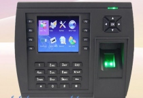RITA 9089