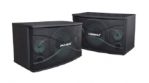 Loa Paramax P-507
