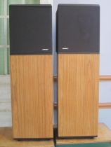 Loa Bose 10.2