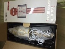 Microphone WSTER WS-858