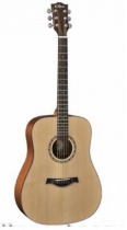 Acousic Guitar DD-22C