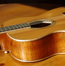 Classic Gallagher AC-120