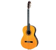Guitar thùng CG151C