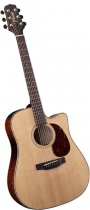 Guitar Takamine EG355SC