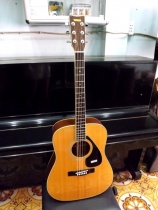 Yamaha  FG-250D