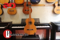 Guitar Diana