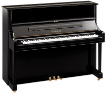 Yamaha U1E 