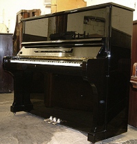 Kawai BL61 