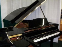 Yamaha G5E