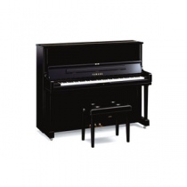 Yamaha YUS