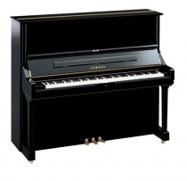 Yamaha W101