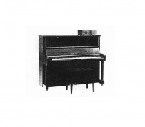 Đàn Piano Apollo A5