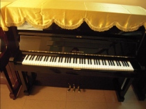 Steinrich S-10
