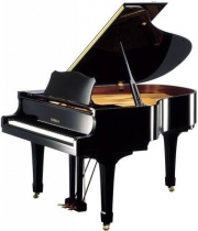 Yamaha C2