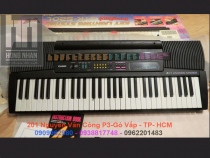 Casio CTK-520L