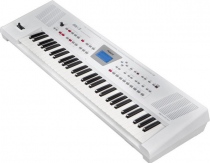 Roland BK-3 WE