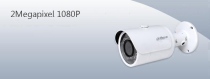 Camera IP Dahua DS2230FIP