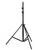 Golden Shell JB-260