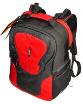 Benro Reebok 100N