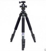 BENRO A-550F