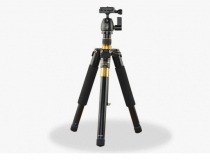Beike 555A