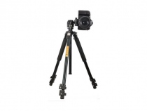 Beike QZ304