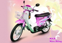 Max 100cc Hồng